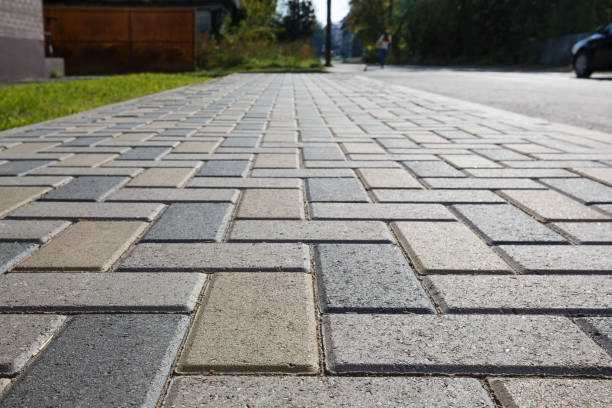 Best Residential Driveway Paver Services  in Clio, MI